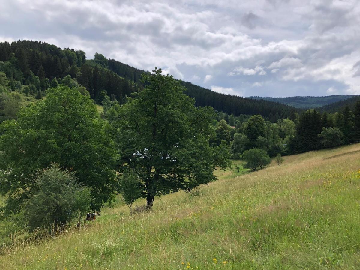 Chalupa U Sindelaru - Velke Karlovice Villa Buitenkant foto