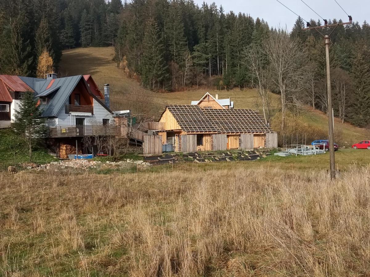 Chalupa U Sindelaru - Velke Karlovice Villa Buitenkant foto